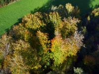 Über herbstlich verfärbten Bäumen